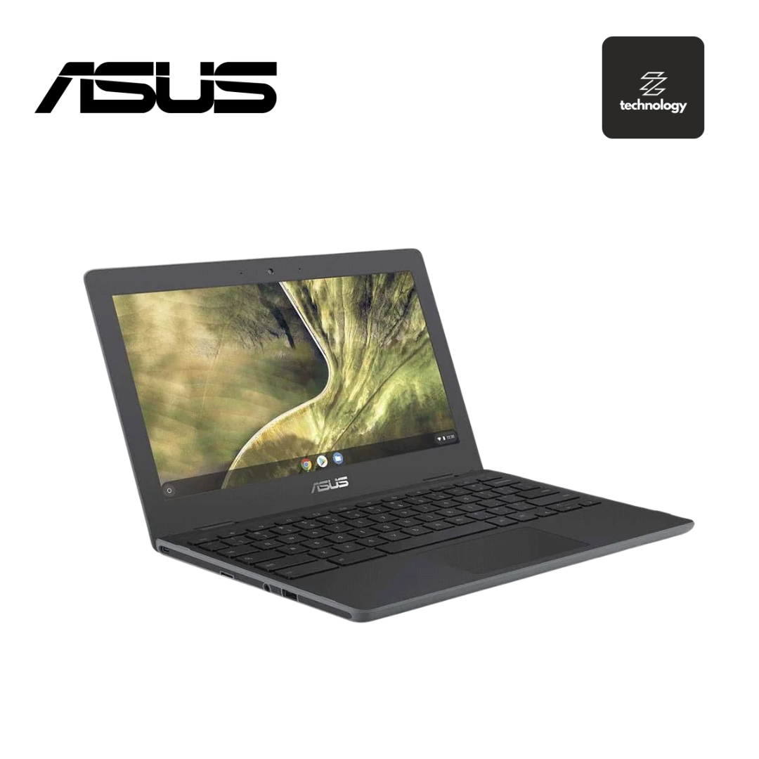 Asus Chromebook 11.6" HD Laptop Celeron N4020