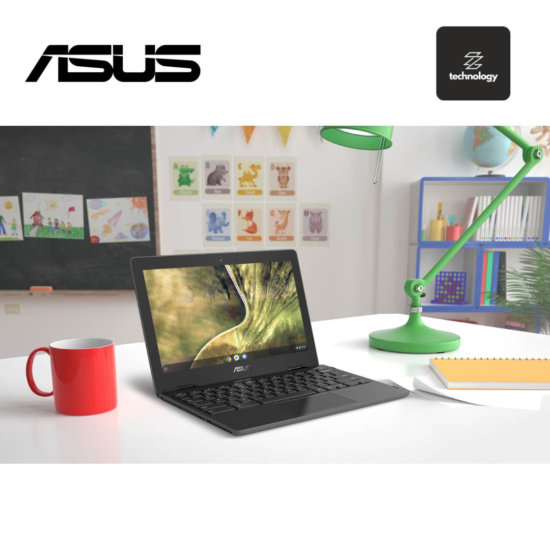 Asus Chromebook 11.6" HD Laptop Celeron N4020